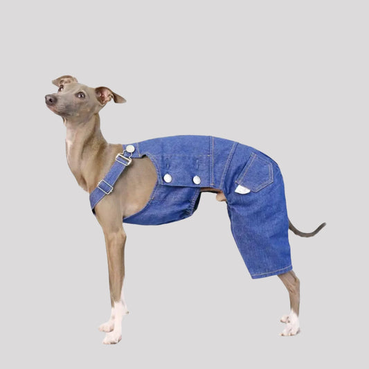 Retro Denim overalls adjustable pants for Italian Greyhound and Whippets