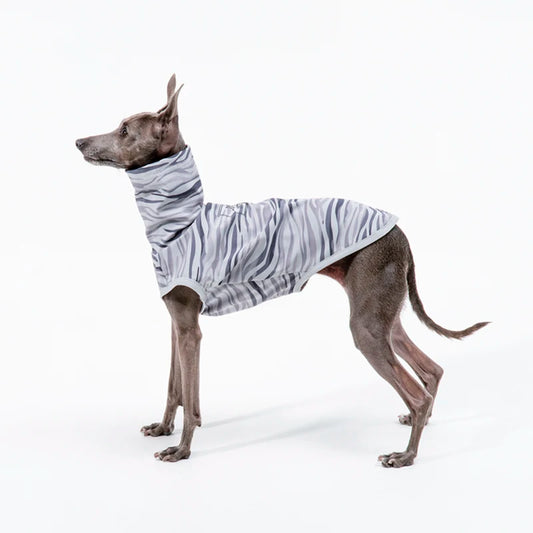 Turtle Neck Striped Cotton Stretch Whippet T-Shirt