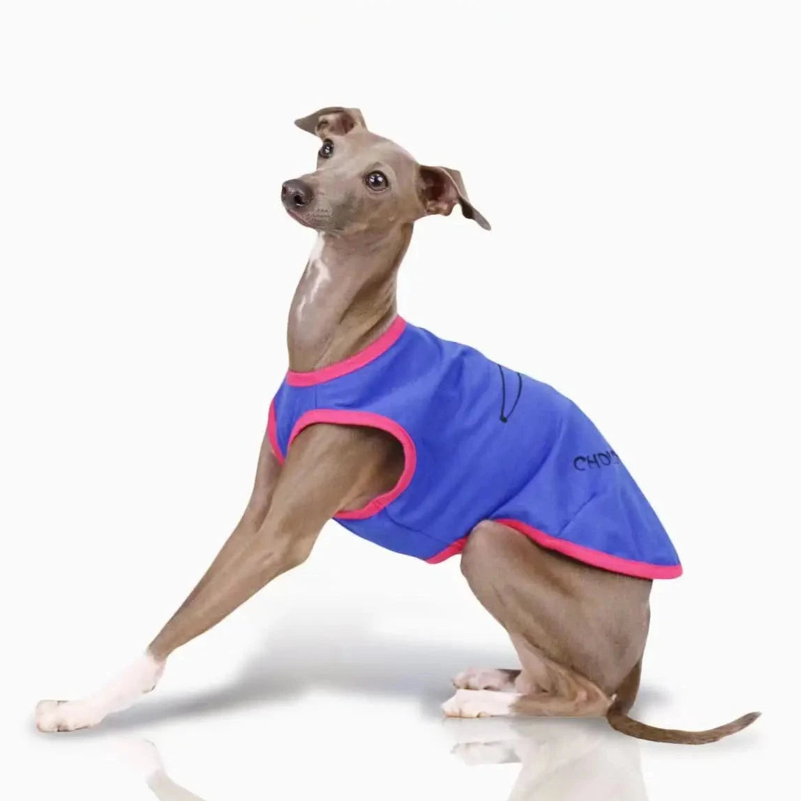 Summer Collection Crew Neck vest cotton T-Shirt for Dog