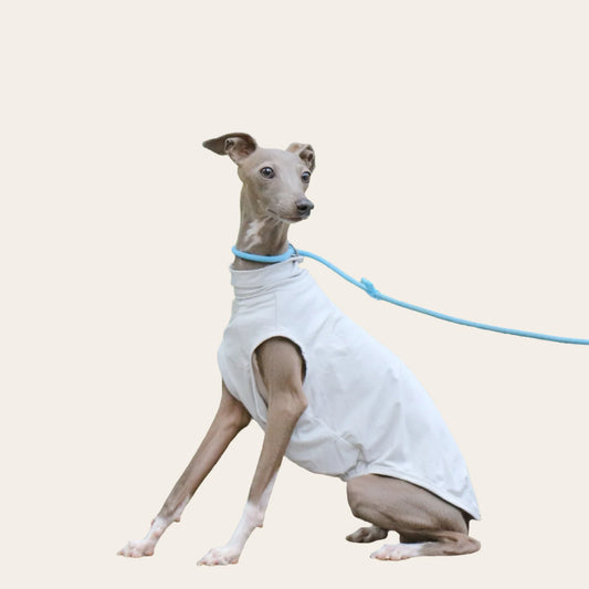 Summer Collection - Ice Feel Vest for Dog