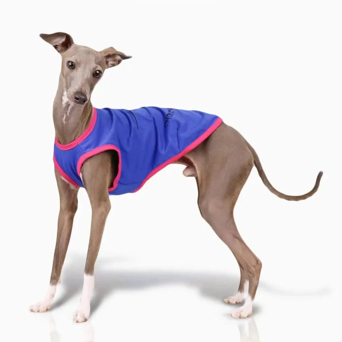 Summer Collection Crew Neck vest cotton T-Shirt for Dog